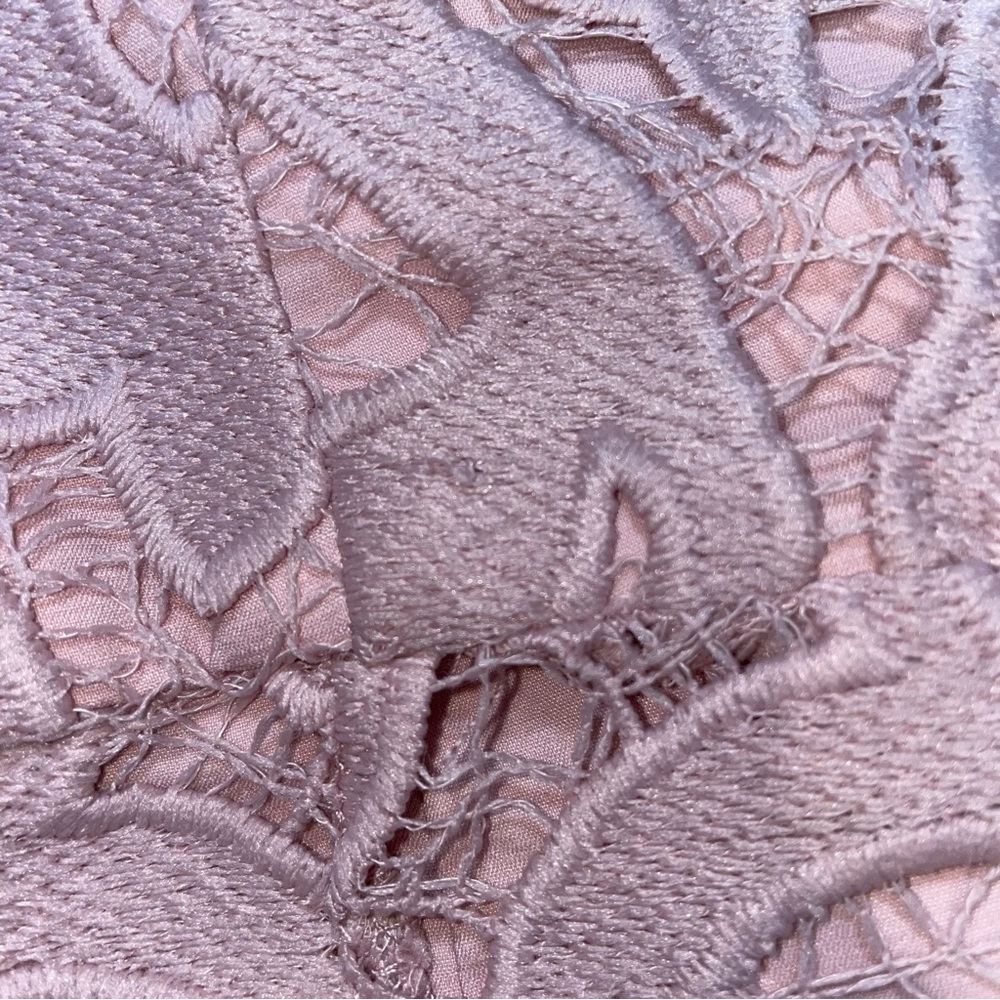NWT Bardot Lina Lace Dress Pink Rose - Picture 16 of 16